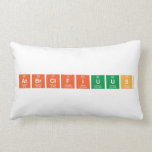 AtBrClFIUus  Pillows (Lumbar)