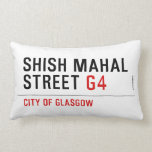 SHISH MAHAL  Street  Pillows (Lumbar)