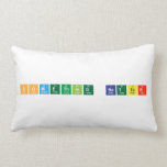 Something Better  Pillows (Lumbar)