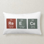 Reece  Pillows (Lumbar)