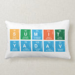 sumit 
 yadav  Pillows (Lumbar)