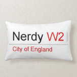 Nerdy  Pillows (Lumbar)