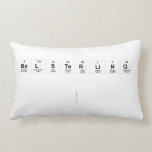 Belsterling
 
   Pillows (Lumbar)