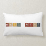 Mohit Redhu   Pillows (Lumbar)