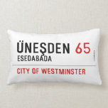 Üneşden  Pillows (Lumbar)