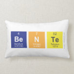 Bente  Pillows (Lumbar)