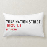 YOURINATION STREET    Pillows (Lumbar)