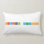 Chemical Reactions  Pillows (Lumbar)