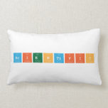 Scientific  Pillows (Lumbar)