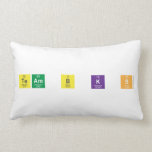 Team B K S   Pillows (Lumbar)