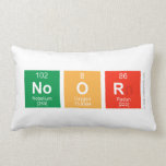 Noor  Pillows (Lumbar)
