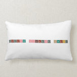Proseminar Allgemeine Chemie  Pillows (Lumbar)