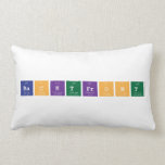 backtfront  Pillows (Lumbar)