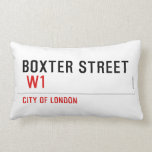 Boxter Street    Pillows (Lumbar)