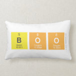 Boo  Pillows (Lumbar)
