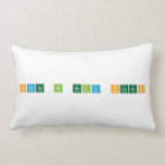 Stand in holy places  Pillows (Lumbar)