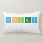 Moseley
   Pillows (Lumbar)