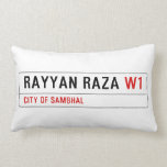 Rayyan Raza  Pillows (Lumbar)
