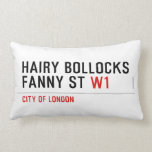 hairy bollocks fanny st  Pillows (Lumbar)