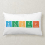 YUSUF  Pillows (Lumbar)