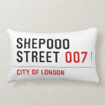 Shepooo Street  Pillows (Lumbar)