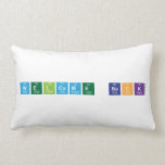 Welcome Back  Pillows (Lumbar)