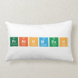 Prathmesh   Pillows (Lumbar)