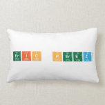 Eric perez  Pillows (Lumbar)