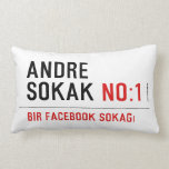 ANDRE SOKAK  Pillows (Lumbar)