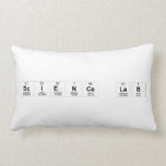 Science lab  Pillows (Lumbar)