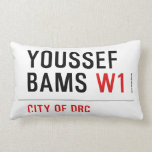 Youssef Bams  Pillows (Lumbar)