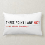 THREE POINT LANE  Pillows (Lumbar)