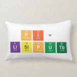 pi=
 LiSiP|UTb  Pillows (Lumbar)