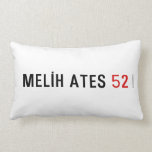 MELİH ATES  Pillows (Lumbar)