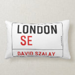 LONDON   Pillows (Lumbar)