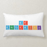 Mr 
 maccormick  Pillows (Lumbar)