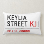 Keylia Street  Pillows (Lumbar)