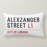 alexzander Street  Pillows (Lumbar)