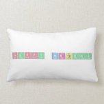 Happy Birthday  Pillows (Lumbar)