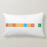 Finissants.es  Pillows (Lumbar)