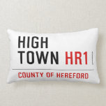 HIGH TOWN  Pillows (Lumbar)