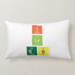 I
 Lv
 EB  Pillows (Lumbar)
