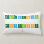 elemental
 
 envelope
   Pillows (Lumbar)