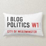 I Blog  Politics  Pillows (Lumbar)