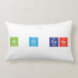 Al Cr Cane  Pillows (Lumbar)