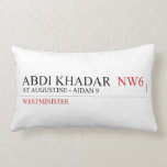 abdi khadar   Pillows (Lumbar)