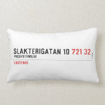 Slakterigatan 10  Pillows (Lumbar)