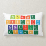 alternate
 history
 barbeque
 tonight  Pillows (Lumbar)