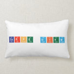 carpe diem  Pillows (Lumbar)