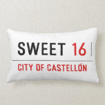 SWEET  Pillows (Lumbar)